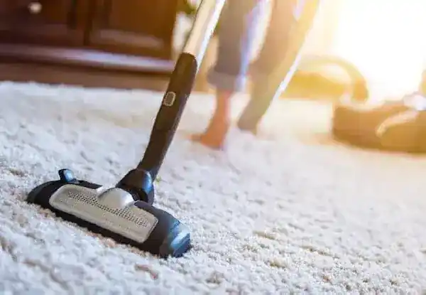 Bloomingdale Carpets & Rugs