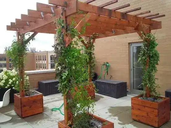 Bloomsday Gardening Services