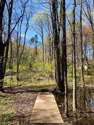 Blue Heron Park