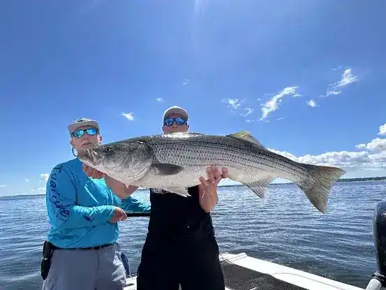 Bluefin Sound Charters