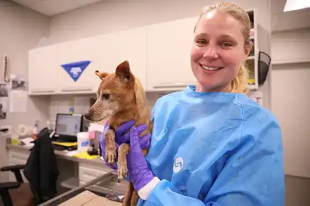 BluePearl Pet Hospital