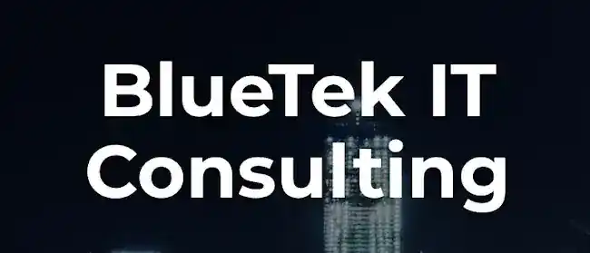 BlueTek IT Consulting & Security