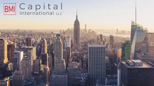BMI Capital International LLC