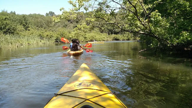 Bob's Canoe Rental