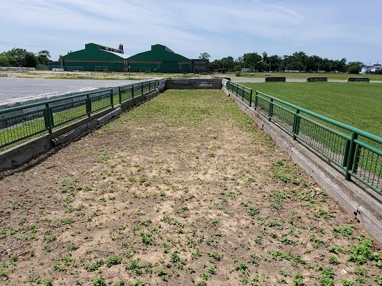 Bocce ball court