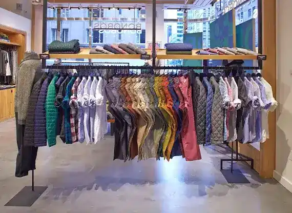 Bonobos
