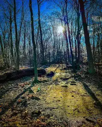 Borg's Woods Nature Preserve