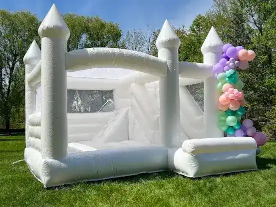 Bounce Around the Hudson