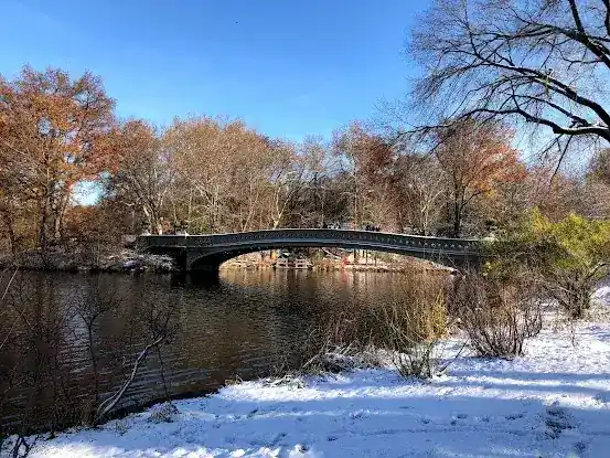 Bow Bridge LLC