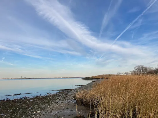 Brant Point Wildlife Sanctuary