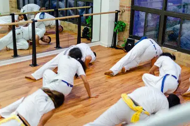 Brazilian Capoeira School