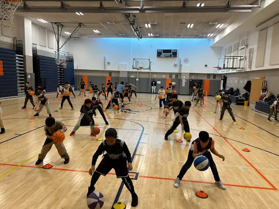 Breakaway Hoops