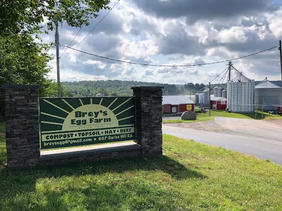 Brey's Egg Farm