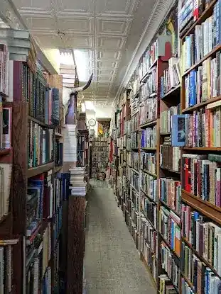 BRIER ROSE BOOKS