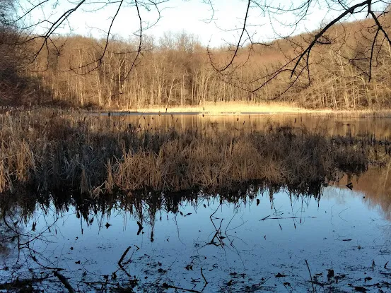 Brinton Brook Sanctuary