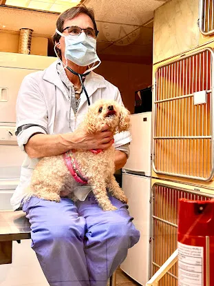 Broadway Animal Hospital of Riverdale