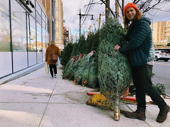 Broadway Christmas Trees