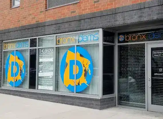 Bronx Democratic Party