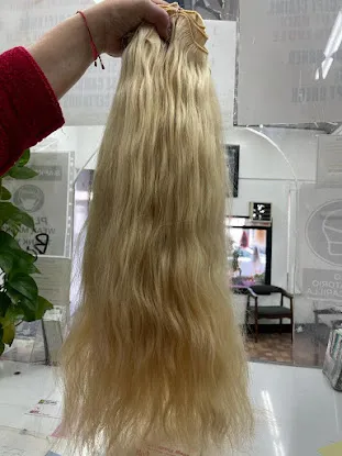 Bronx Hair Supply Inc.