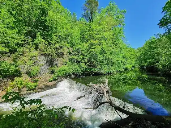 Bronx River Waterfall, NYBG