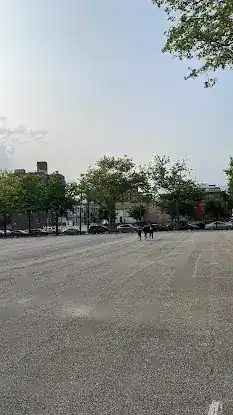 Bronx Royal Cricket Club
