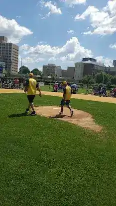 Bronxchester Little League