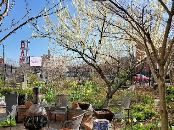 Brooklyn Bears/Rockwell Place Garden