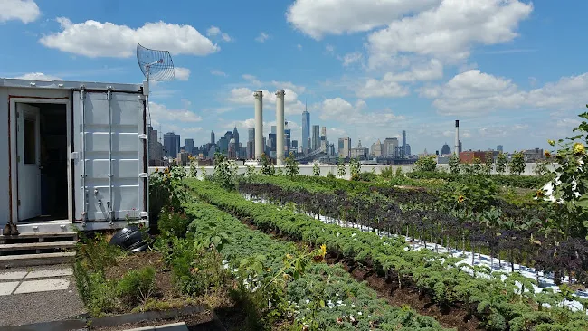 Brooklyn Grange @ Brooklyn Navy Yard