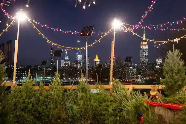 Brooklyn Lumberjacks Christmas trees