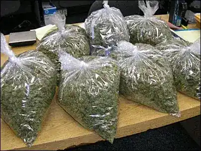 Brooklyn Mmj LLC