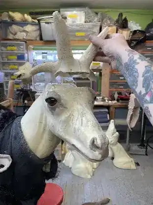Brooklyn Taxidermy