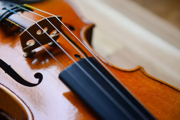 Brooklyn Violin Company