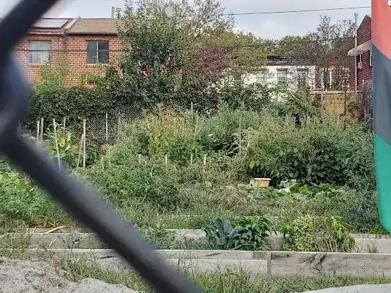 Brownsville Community Farms