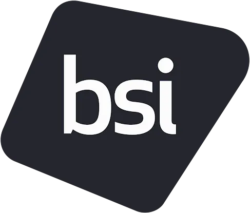 BSI Consulting Services