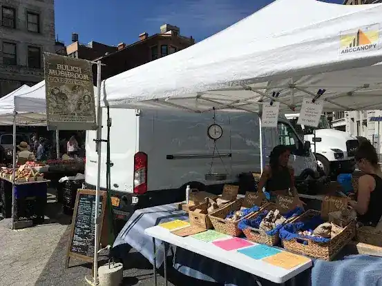 Bulich Mushroom Farm - Union Square