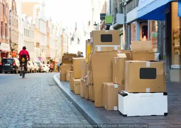 Buschlick's NYC Junk Removal