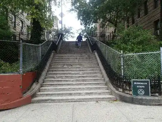 Bushman Steps