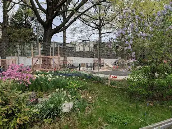 Butterfly Gardens
