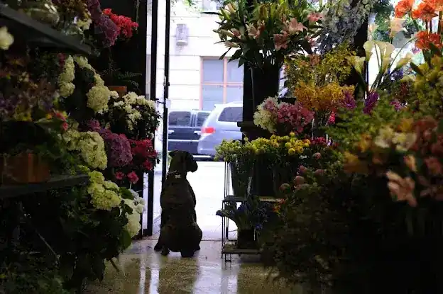 By Philip Cut Flowers