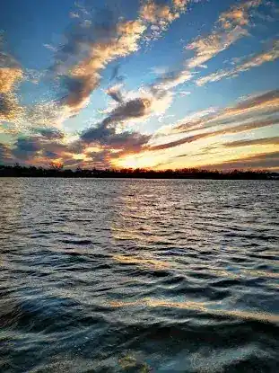 Canarsie