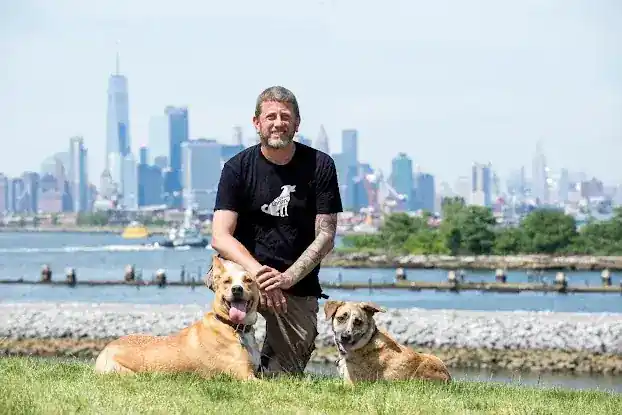 Canine Cohen Dog Training and Behavior Modification