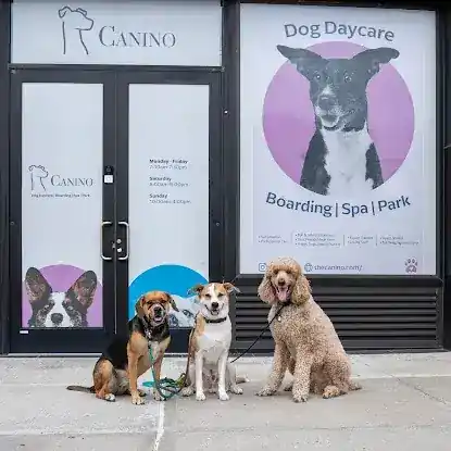 Canino - Dog Daycare in Astoria