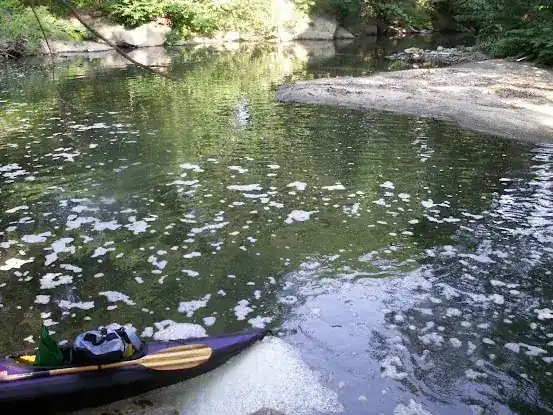 Canoeing the Bronx River