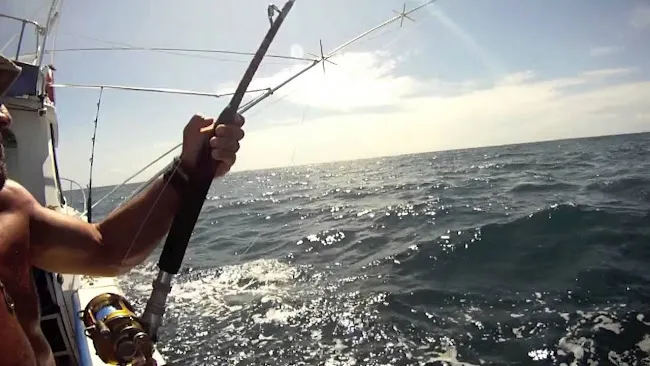 Capt. Dave Fishing