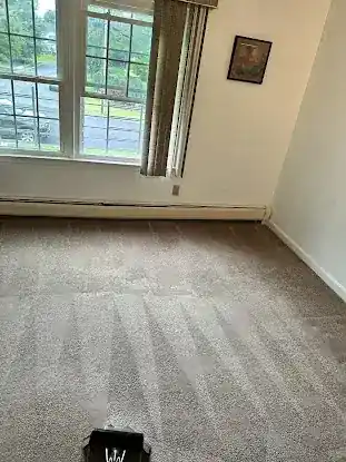 Carpet Cleaning Solutions