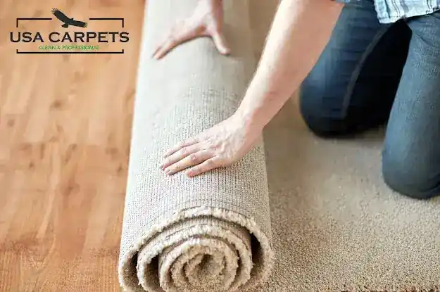 Carpet & Upholstery Cleaning Park Slope