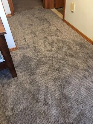 Carpets 46 Hardwood Floors