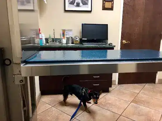 Carroll Gardens Veterinary Group