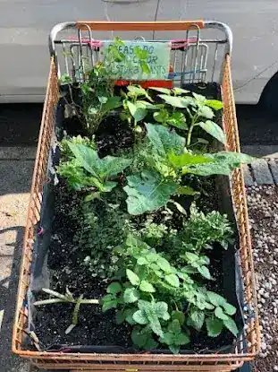Cart Garden