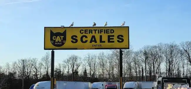 CAT Scale